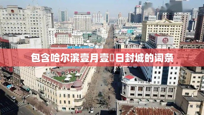 包含哈尔滨壹月壹無日封城的词条