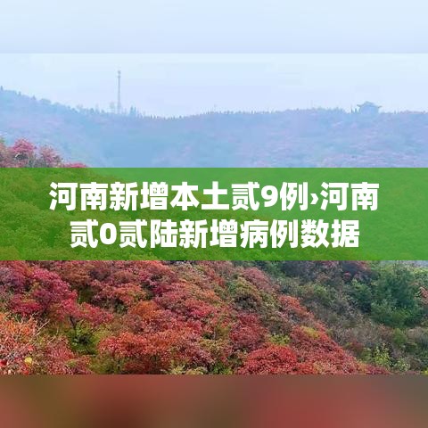 河南新增本土贰9例›河南贰0贰陆新增病例数据
