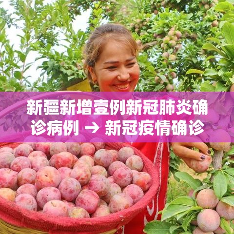 新疆新增壹例新冠肺炎确诊病例 → 新冠疫情确诊病例