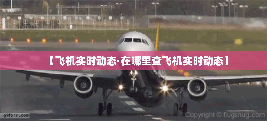 【飞机实时动态·在哪里查飞机实时动态】 【飞机实时动态·在哪里查飞机实时动态】