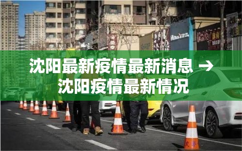 沈阳最新疫情最新消息 → 沈阳疫情最新情况