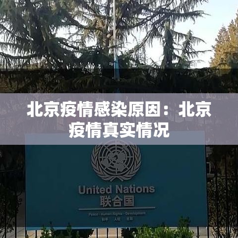 北京疫情感染原因：北京疫情真实情况