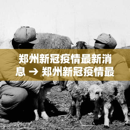 郑州新冠疫情最新消息 → 郑州新冠疫情最新情况 郑州新冠疫情最新消息 → 郑州新冠疫情最新情况