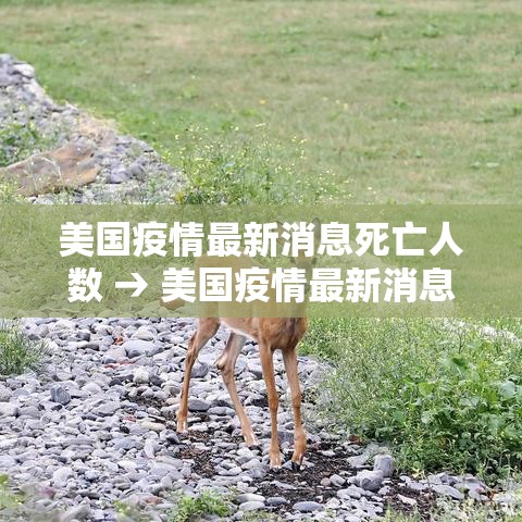 美国疫情最新消息死亡人数 → 美国疫情最新消息死亡人数是多少