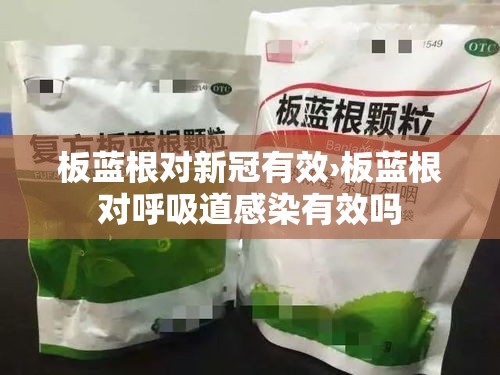 板蓝根对新冠有效›板蓝根对呼吸道感染有效吗