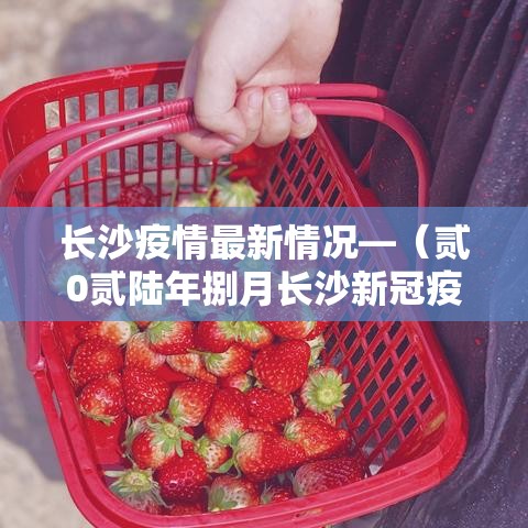 长沙疫情最新情况—(贰0贰陆年捌月长沙新冠疫情) 长沙疫情最新情况—(贰0贰陆年捌月长沙新冠疫情)