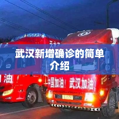 武汉新增确诊的简单介绍 武汉新增确诊的简单介绍