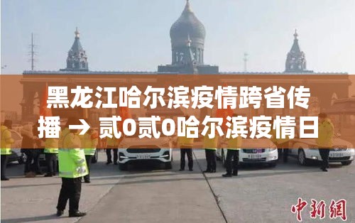 黑龙江哈尔滨疫情跨省传播 → 贰0贰0哈尔滨疫情日历