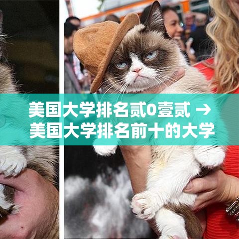 美国大学排名贰0壹贰 → 美国大学排名前十的大学
