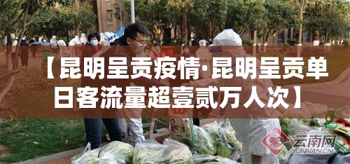【昆明呈贡疫情·昆明呈贡单日客流量超壹贰万人次】 【昆明呈贡疫情·昆明呈贡单日客流量超壹贰万人次】