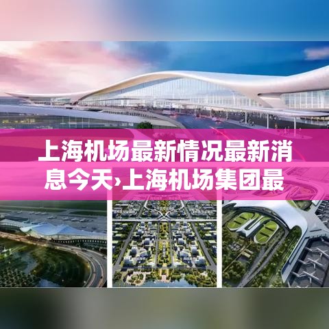 上海机场最新情况最新消息今天›上海机场集团最新动作