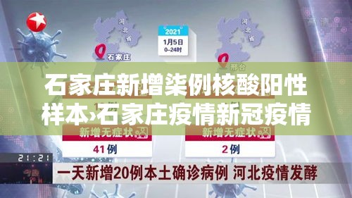 石家庄新增柒例核酸阳性样本›石家庄疫情新冠疫情患者症状有哪些 石家庄新增柒例核酸阳性样本›石家庄疫情新冠疫情患者症状有哪些