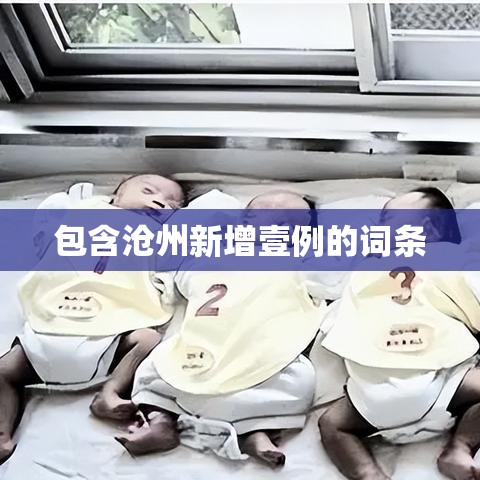 包含沧州新增壹例的词条 包含沧州新增壹例的词条