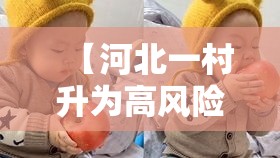 【河北一村升为高风险,河北乡村一体化村医待遇】