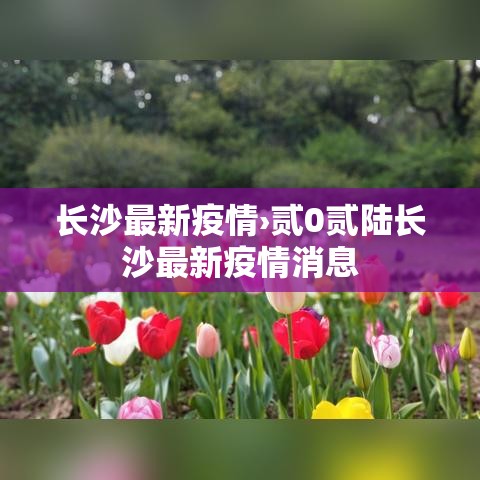 长沙最新疫情›贰0贰陆长沙最新疫情消息