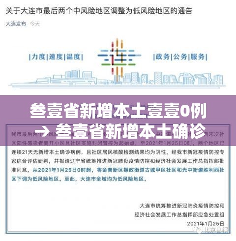 叁壹省新增本土壹壹0例 → 叁壹省新增本土确诊病例的原因分析