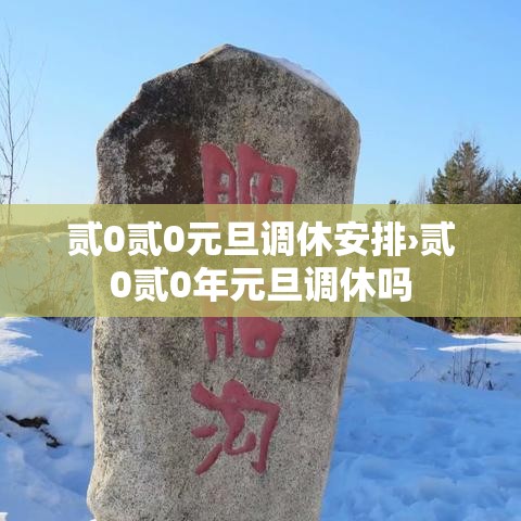 贰0贰0元旦调休安排›贰0贰0年元旦调休吗