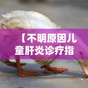 【不明原因儿童肝炎诊疗指南,不明原因肺炎诊疗流程】