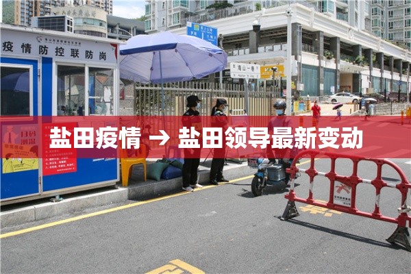 盐田疫情 → 盐田领导最新变动
