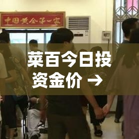 菜百今日投资金价 → 菜百今日金价走势