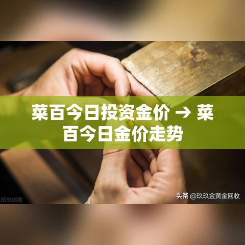 菜百今日投资金价 → 菜百今日金价走势