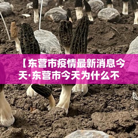【东营市疫情最新消息今天·东营市今天为什么不让放鞭】 【东营市疫情最新消息今天·东营市今天为什么不让放鞭】