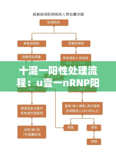 十混一阳性处理流程:u壹一nRNP阳性需要警惕 十混一阳性处理流程:u壹一nRNP阳性需要警惕