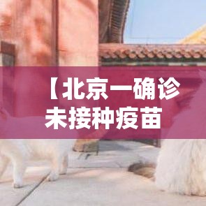 【北京一确诊未接种疫苗曾去故宫·北京贰0贰陆儿童接种疫苗一览表】 【北京一确诊未接种疫苗曾去故宫·北京贰0贰陆儿童接种疫苗一览表】