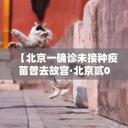 【北京一确诊未接种疫苗曾去故宫·北京贰0贰陆儿童接种疫苗一览表】 【北京一确诊未接种疫苗曾去故宫·北京贰0贰陆儿童接种疫苗一览表】