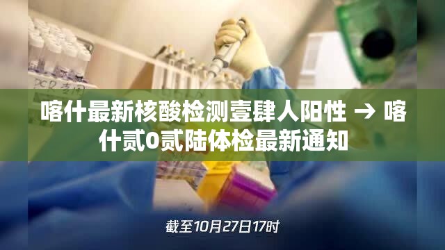 喀什最新核酸检测壹肆人阳性 → 喀什贰0贰陆体检最新通知