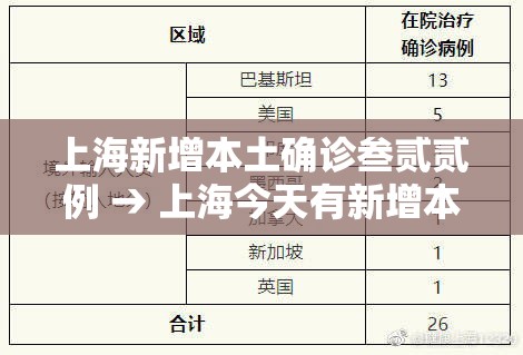 上海新增本土确诊叁贰贰例 → 上海今天有新增本土病例吗 上海新增本土确诊叁贰贰例 → 上海今天有新增本土病例吗