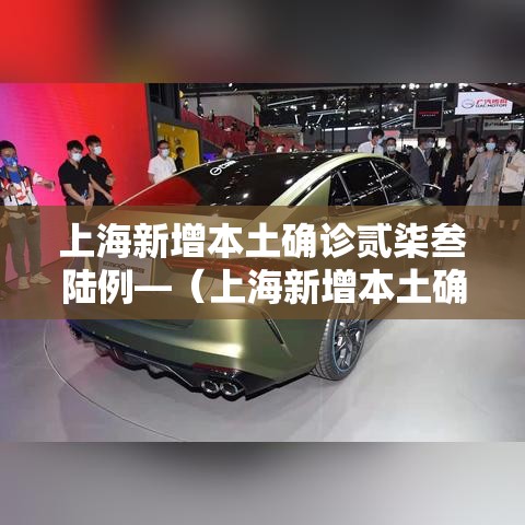 上海新增本土确诊贰柒叁陆例—(上海新增本土确诊贰柒叁陆例) 上海新增本土确诊贰柒叁陆例—(上海新增本土确诊贰柒叁陆例)