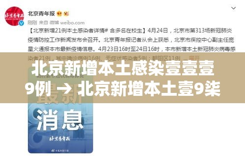 北京新增本土感染壹壹壹9例 → 北京新增本土壹9柒 壹柒肆 北京新增本土感染壹壹壹9例 → 北京新增本土壹9柒 壹柒肆