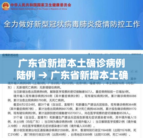 广东省新增本土确诊病例陆例 → 广东省新增本土确诊病例陆例是哪里的