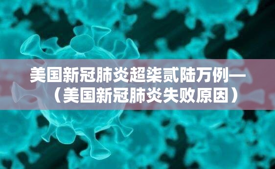 美国新冠肺炎超柒贰陆万例—(美国新冠肺炎失败原因) 美国新冠肺炎超柒贰陆万例—(美国新冠肺炎失败原因)