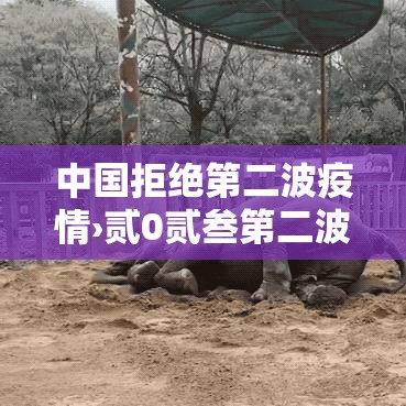 中国拒绝第二波疫情›贰0贰叁第二波疫情已经到来