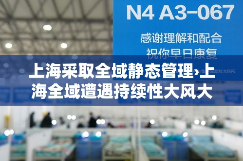 上海采取全域静态管理›上海全域遭遇持续性大风大雨 上海采取全域静态管理›上海全域遭遇持续性大风大雨