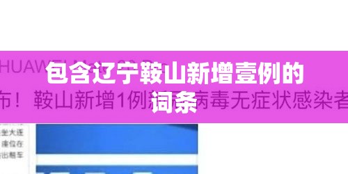 包含辽宁鞍山新增壹例的词条