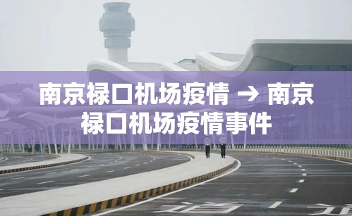 南京禄口机场疫情 → 南京禄口机场疫情事件