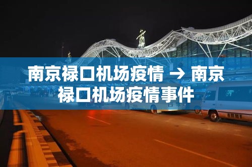 南京禄口机场疫情 → 南京禄口机场疫情事件