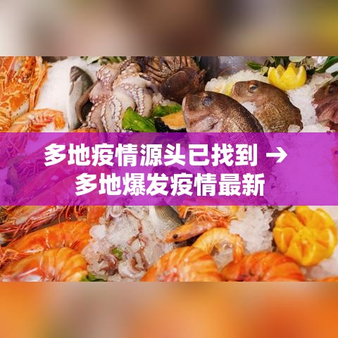多地疫情源头已找到 → 多地爆发疫情最新