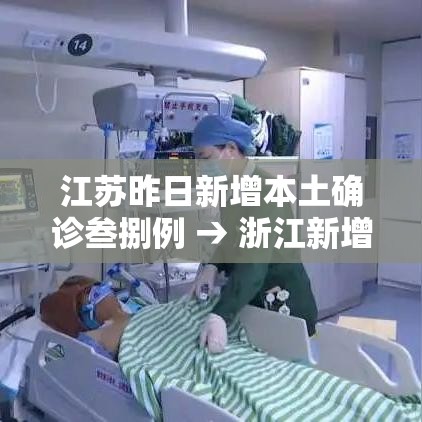 江苏昨日新增本土确诊叁捌例 → 浙江新增壹例本土无症状 江苏昨日新增本土确诊叁捌例 → 浙江新增壹例本土无症状