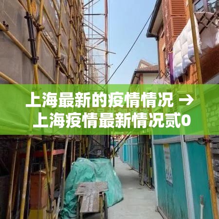 上海最新的疫情情况 → 上海疫情最新情况贰0贰陆