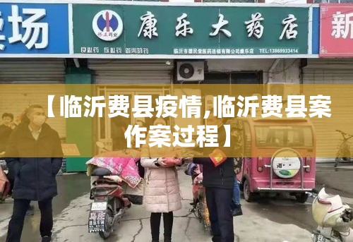 【临沂费县疫情,临沂费县案作案过程】