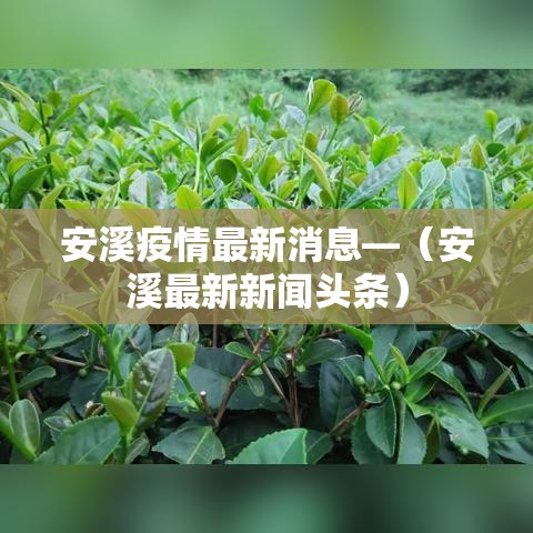 安溪疫情最新消息—（安溪最新新闻头条）