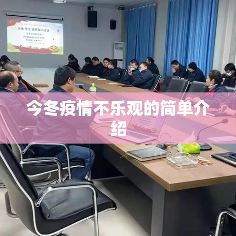 今冬疫情不乐观的简单介绍