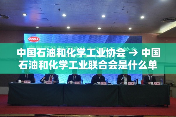 中国石油和化学工业协会 → 中国石油和化学工业联合会是什么单位