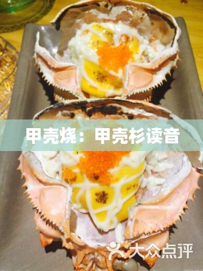 甲壳烧：甲壳杉读音