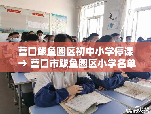 营口鲅鱼圈区初中小学停课 → 营口市鲅鱼圈区小学名单