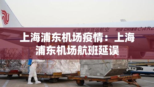 上海浦东机场疫情：上海浦东机场航班延误